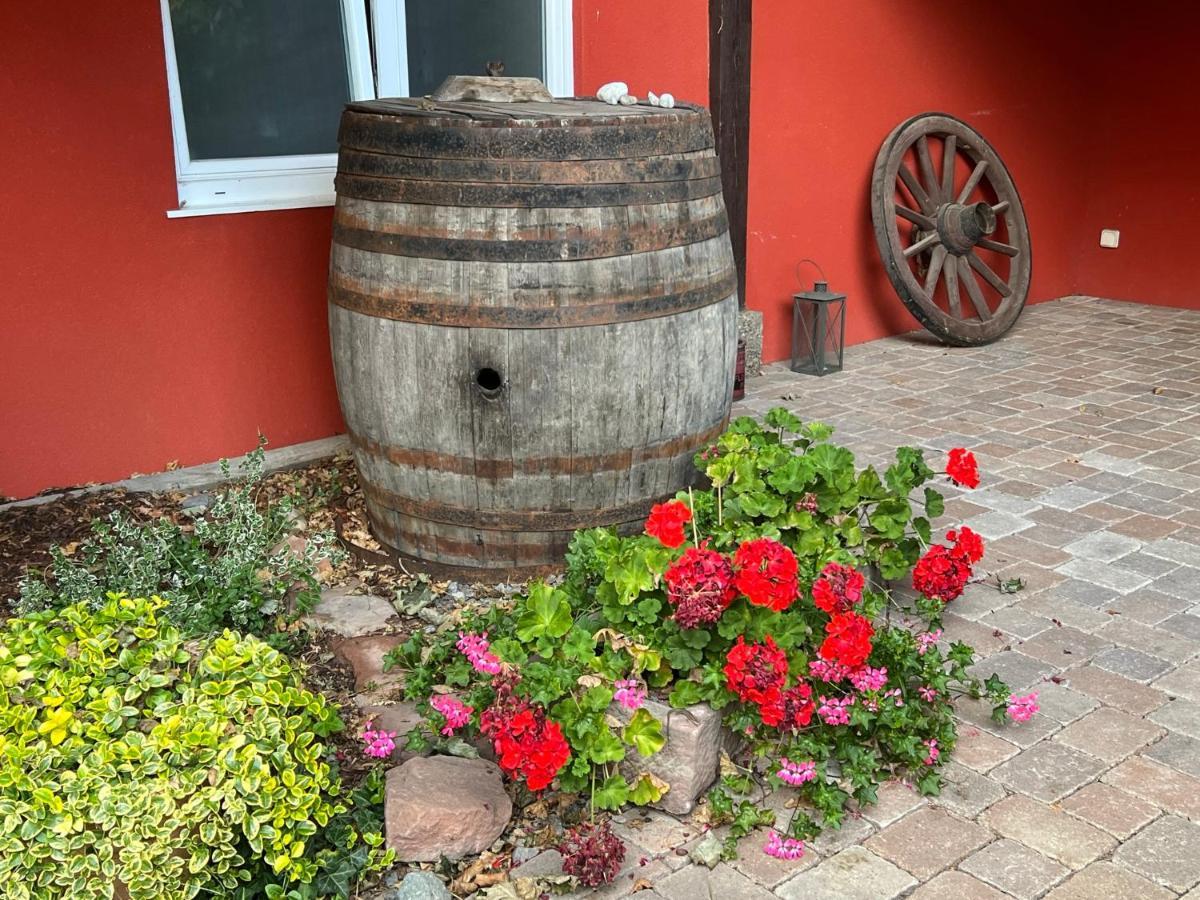 Les Authentics - Le Domaine D'Autrefois & Spa Bolsenheim Kültér fotó